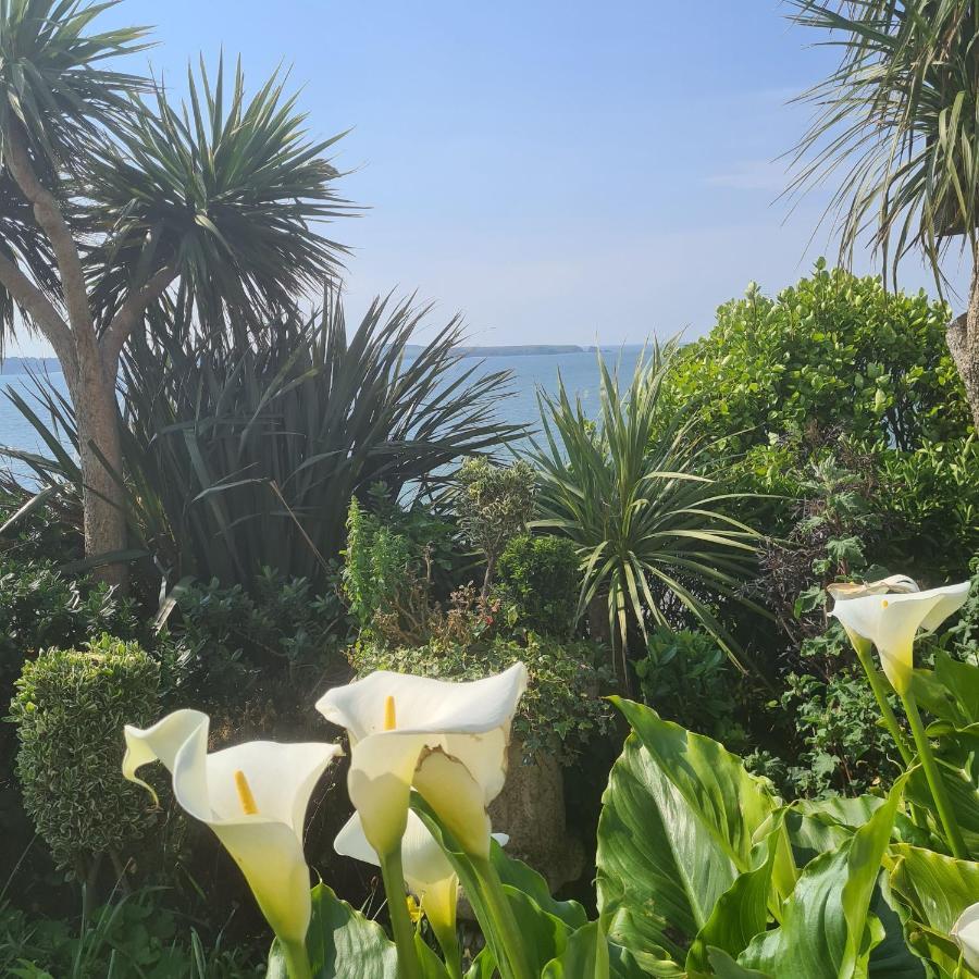 Beautiful 2 Bedroom Caravan, Holiday Park Tenby Saint Florence Екстер'єр фото